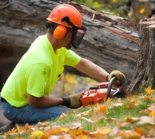 tree services Hamler